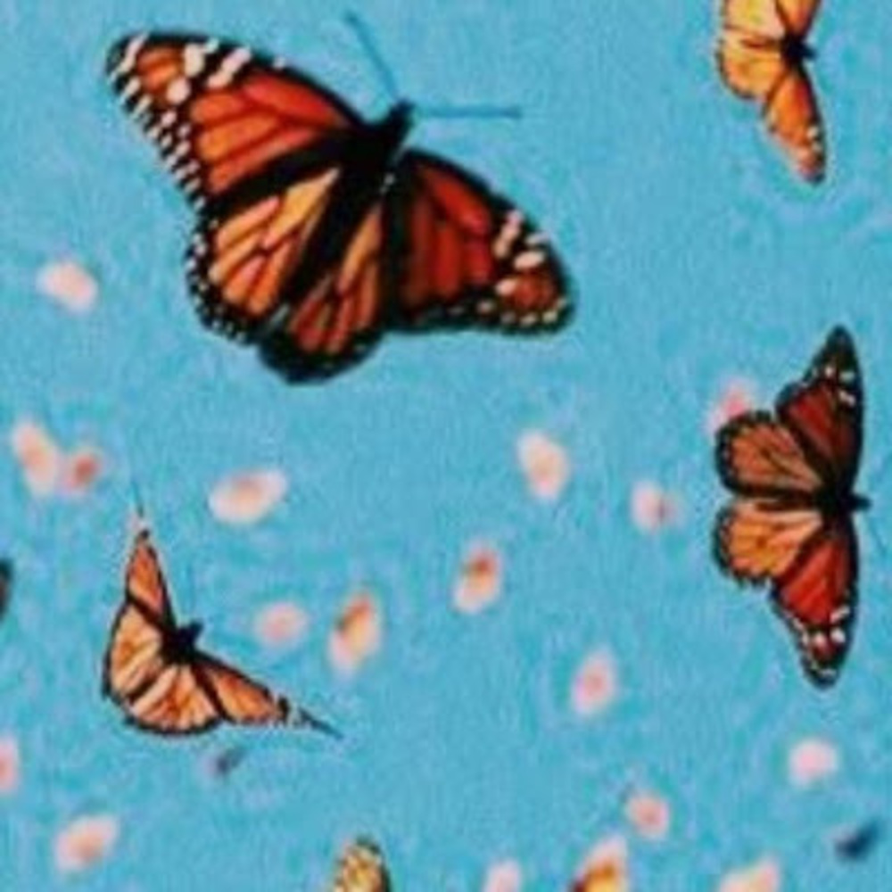 Meet your Posher, Aubree